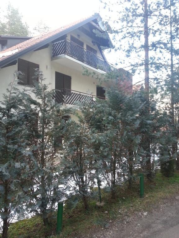 Apartment 9 Gorska Vila زلاتيبور المظهر الخارجي الصورة